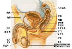 内蒙古包皮过长做手术疼吗 好的包皮手术医院